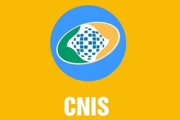 O que é o CNIS?